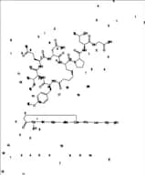 Carbetocin Impurity 5