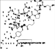 Carbetocin Impurity 6