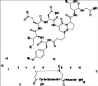 Carbetocin S-Oxide (Mixture of Diastereomers)