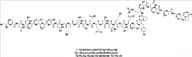 Calcitonin Impurity 6