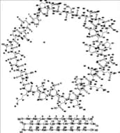 Calcitonin Impurity 14