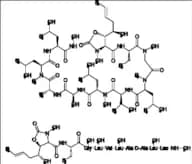 Cyclosporin Impurity 1