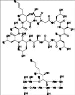 Cyclosporin AM 4N