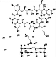 Cyclosporin L