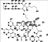 Ciclosporin EP Impurity B (Dihydrocyclosporin A)