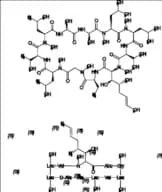 Cyclosporin E