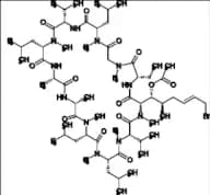 Cyclosporin Impurity 7