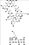 Cyclosporin Impurity 10