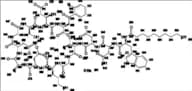 Daptomycin Impurity 3 Pentasodium Salt