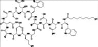 Daptomycin Impurity 3