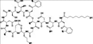 Daptomycin Impurity 24