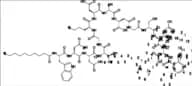 Daptomycin Impurity 38