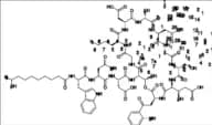Daptomycin Impurity 41