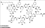 Enramycin (Mixture of Enduracidin A and Enduracidin B)