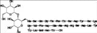 Glucagon Lactose adduct 1