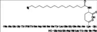 Liraglutide