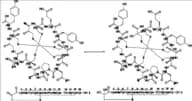 Linaclotide Impurity 5