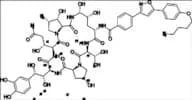 Micafungin Metabolite M1