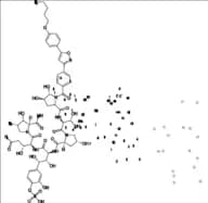 Micafungin Impurity 10