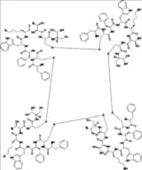 Octreotide Impurity 34
