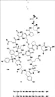 Toluenesulfonyl- Oxytocin and Oxytocin Dimer
