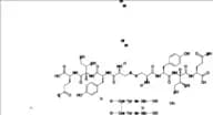 Oxytocin N-Terminal Tetrapeptide Dimer Ditrifluoroacetate