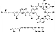 Polymyxin E1 (Colistin A)