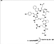 Vasopressin Impurity 2 Ditrifluoroacetate