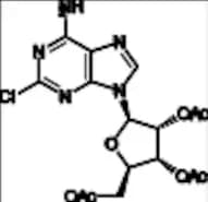 Regadenoson Impurity 13