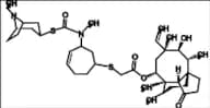 Retapamulin Impurity 5