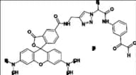 Citrulline-Specific Probe-Rhodamine