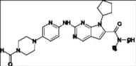Ribociclib Impurity 3