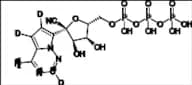 GS-441524-13C-d3-15N2 Triphosphate