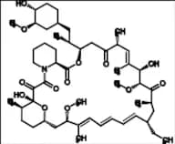 33-Ethyl Rapamycin