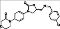 Rivaroxaban Impurity 61