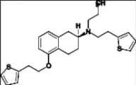 Rotigotine EP Impurity J HCl