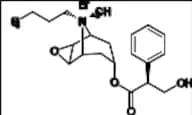 Hyoscine Butylbromide (N-Butyl Scopolamine Bromide, N-Butyl Hyoscine Bromide)
