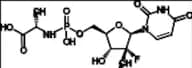 Sofosbuvir Impurity 49 (GS-566500)