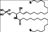 Sphingomyelin Impurity 2 (Ceramide-1-phosphate)