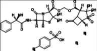 Sultamicillin Tosilate Dihydrate