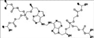 Tenofovir Impurity 126