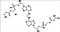 Tenofovir Mono POC Dimer