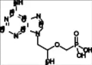 rac-Tenofovir-13C5