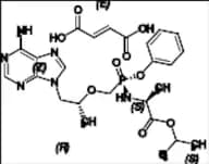 Tenofovir Alafenamide Fumarate