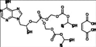 Tenofovir Disoproxil Maleate