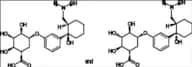 O-Desmethyl Tramadol Glucuronide (Mixture of Diastereomers)