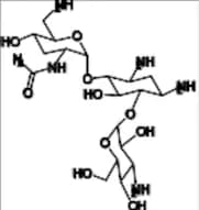 Tobramycin Impurity 2 TetraHCl