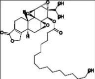 Triptolide Impurity 4