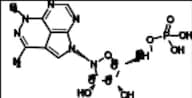 Tricirbine Phosphate -13C5