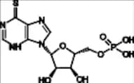 6-Thioinosine Phosphate